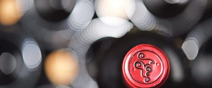 Vinícola Lidio Carraro lança seu novo site Vinícola Lidio Carraro lança seu novo site