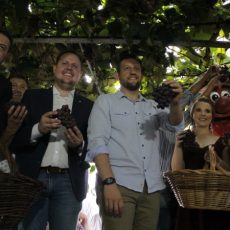 Com união das comunidades no coração da cidade é aberta temporada da Vindima vindima