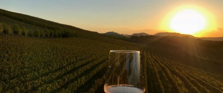 Vinhos servidos na posse da Presidência são de Bento Vinhos servidos na posse da Presidência são de Bento