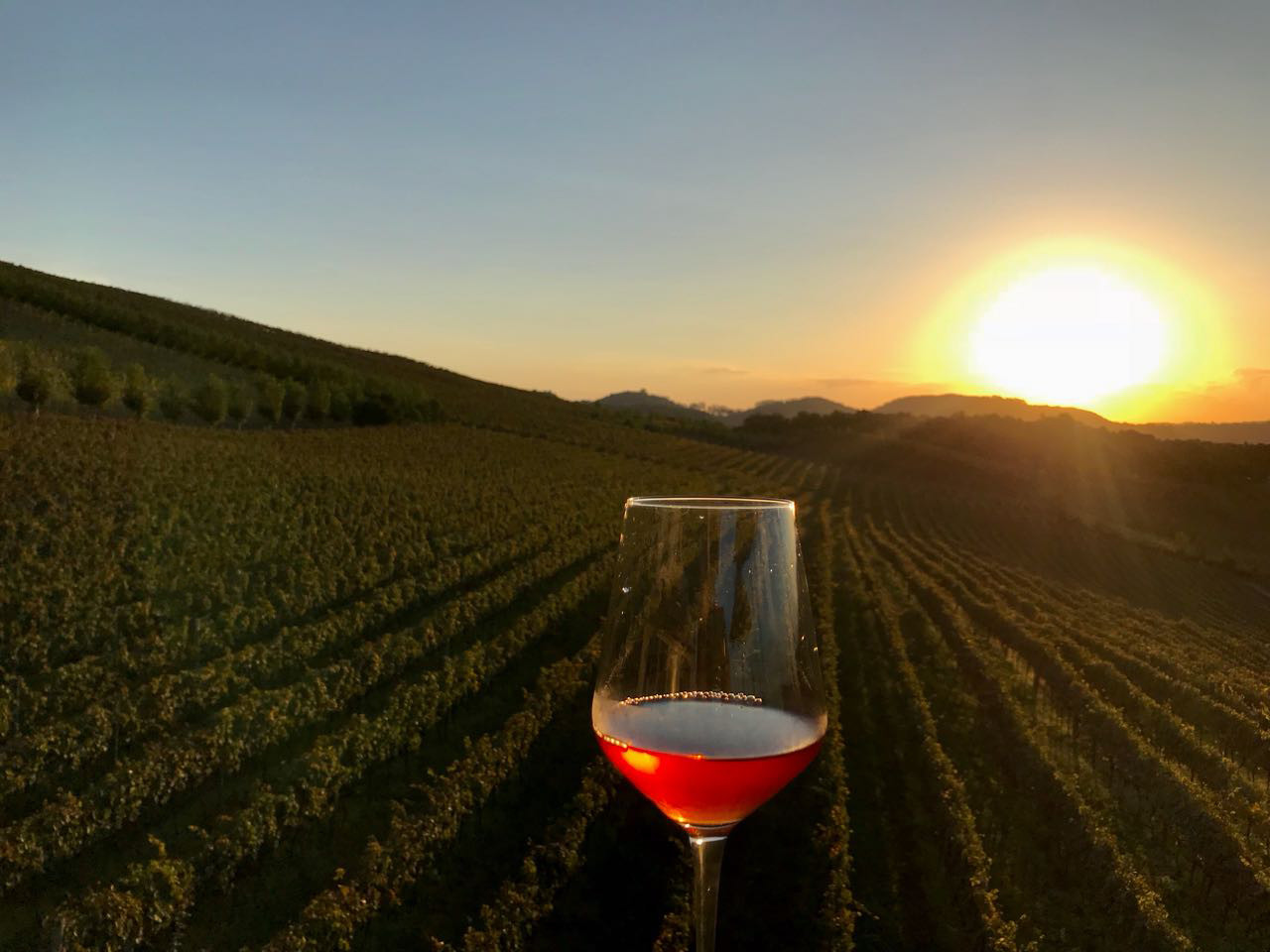 vinho de bento