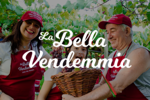 La Bella Vendemmia 2022 @ Villa Michelon