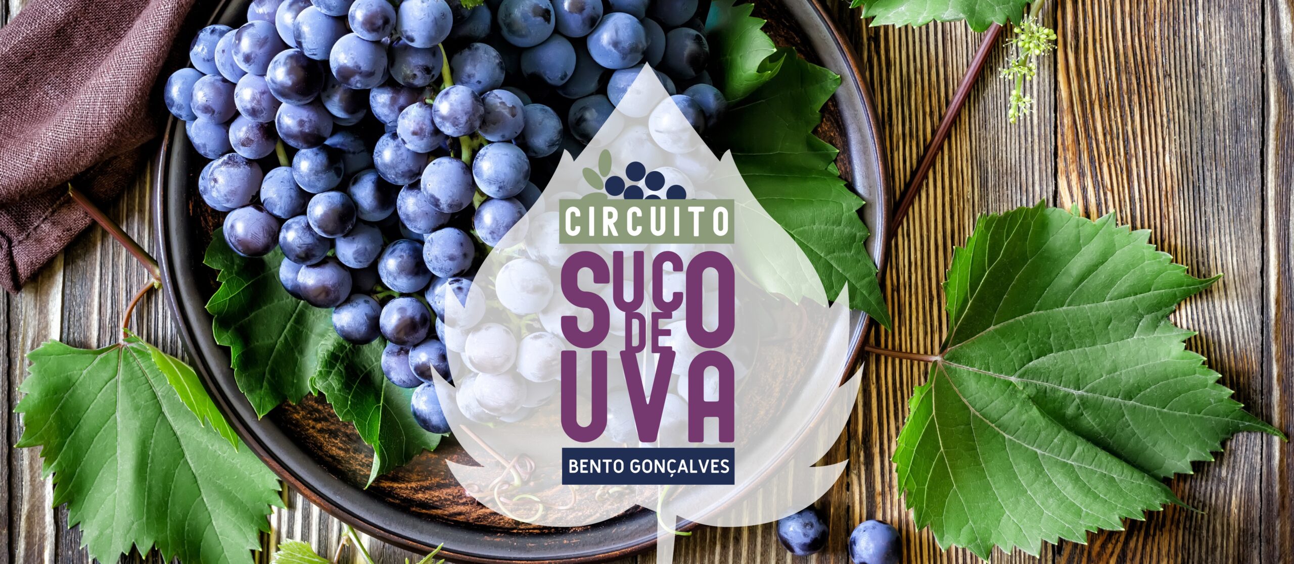 banner-circuito-uva-site-turismo_ok-2-scaled